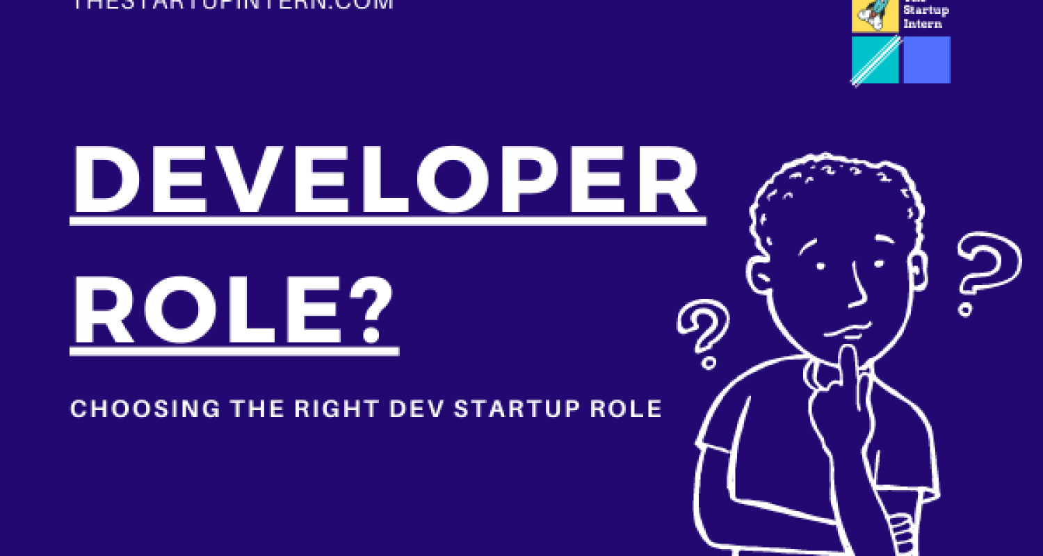 Developer Role(1)